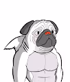 SharkPugs