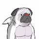 SharkPugs