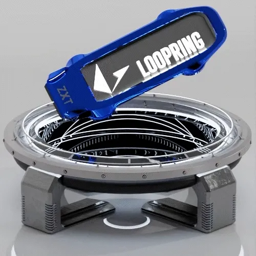 Loopring x ZXT