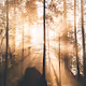 Light shines through