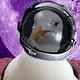 Gloria the Seagull lost in space