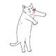 Meow boring
