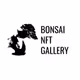 BONSAI NFT GALLERY