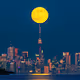 Toronto Moonlight