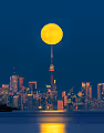 Toronto Moonlight