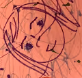 Art Supplies on Construction Paper - old