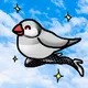 Sexy Birds