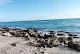 Off the Coast