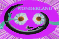 Joe's Wonderland