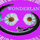 Joe's Wonderland