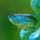 macro-graphy