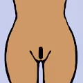 VJJ