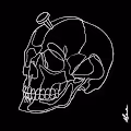 Wicked Cranium X Haylos #2416