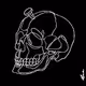 Wicked Craniums X Haylos