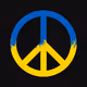 Stand With Ukraine PFP
