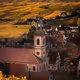 An Autumn in Alsace