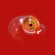 EYEGG