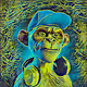Prime Apes Universe