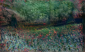 Terra AI