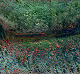 Terra AI