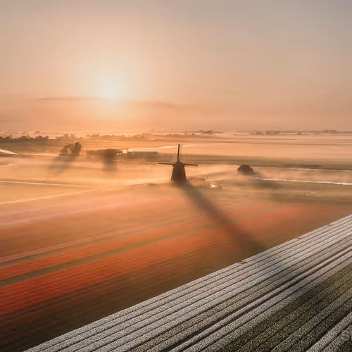 Nick de Jonge Airdr0ps (v2.0)