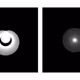 Loops