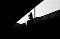 NFoTographer - old