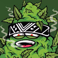 Stay High 420