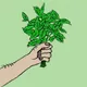It's Free Mint