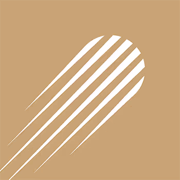 Orange Comet Goalie Mask