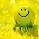 The Happiness in Smiles Collection