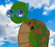 TokingTurtles