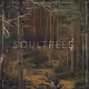 SOULTREES by Louis Iruela