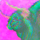 BULL colorful bull - old