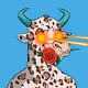 TheYoungBullClub