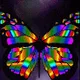 Crypto Multicolor Butterfly - old