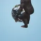 3D APE (OVR LAND) - old