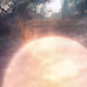 As The Worlds Descends