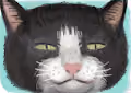 Lottery cat cat