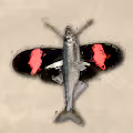 No War Make Art