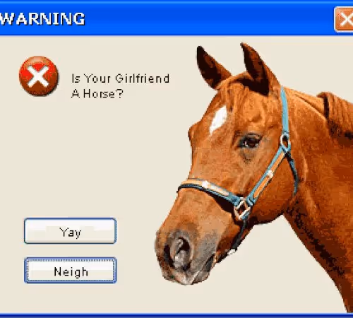Yay or Neigh