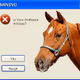 Yay or Neigh