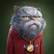 Bored Cat Origins