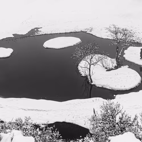 Mustafa Erbas Manifold Edition