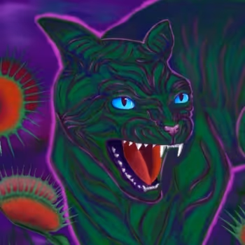 Flower Cats and other strange cats collection