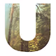 UNSEEN by Louis Iruela