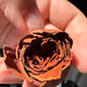 Venus Rose V2