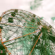 Turning negatives into positives: Coney Island