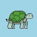Turtles NFT