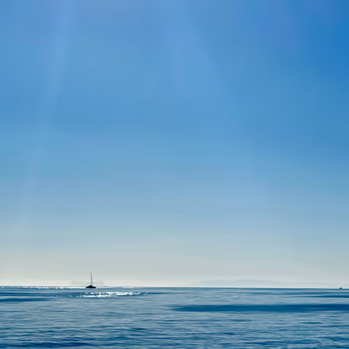 The Light is too Bright